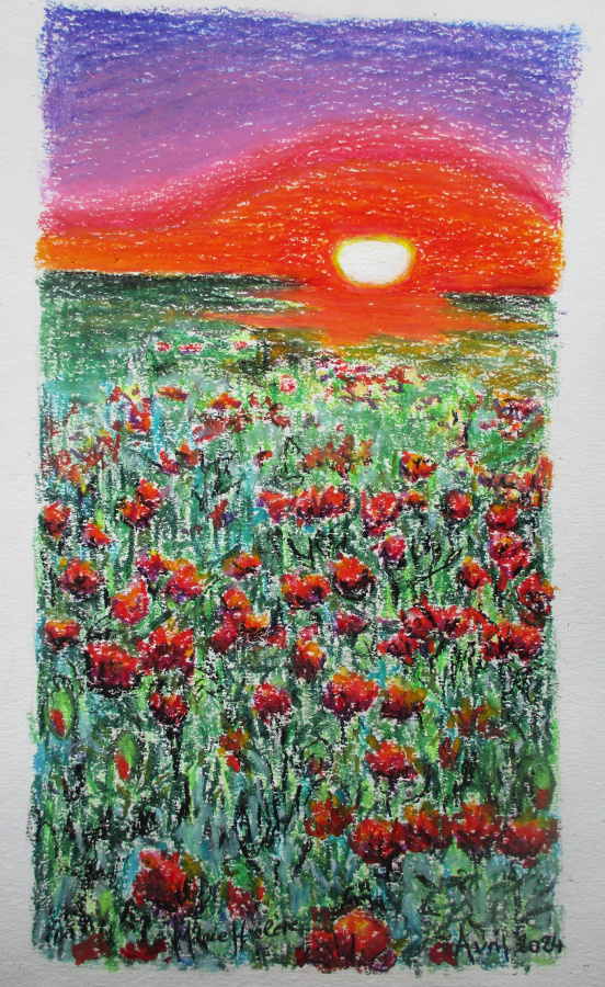 Coquelicots au couchant